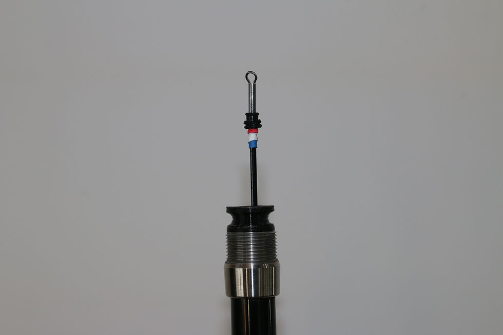 Miniature : SCION BATON CANNE GRF