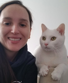 Balthazar_domestic shorthair cat.jpg