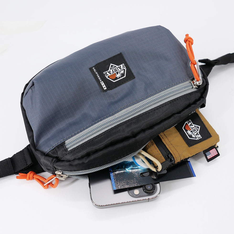 Thumbnail: FF5300 - GRIFFITH HIP POUCH
