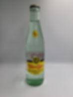 Topochico 
