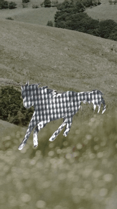 This is some fooling around.gif