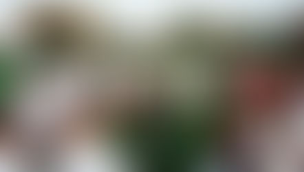 University support sought to host England Students Women’s Rugby – July 2026