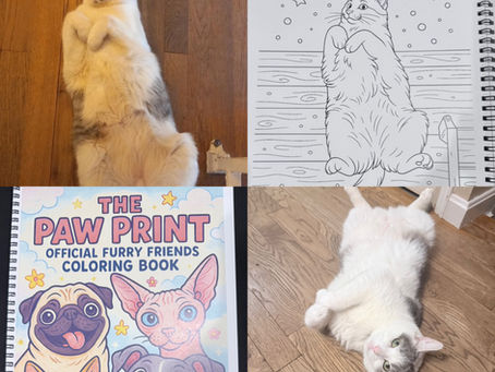 From Dirt to Diva: Lira’s Big Debut