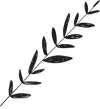 Branch