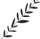 Branch       