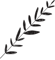Branch