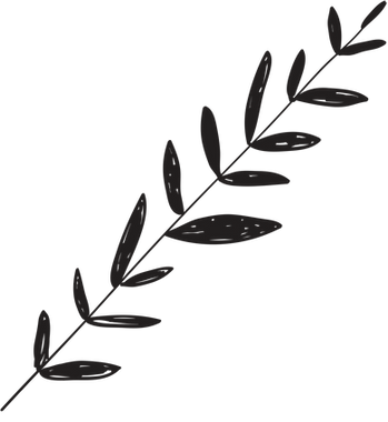 Branch