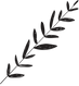 Branch