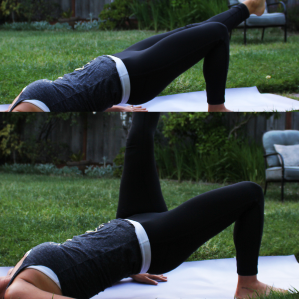 SL Bridge with Leg Lift/Lower