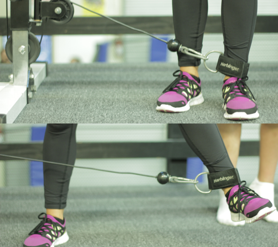 Cable Leg Abduction