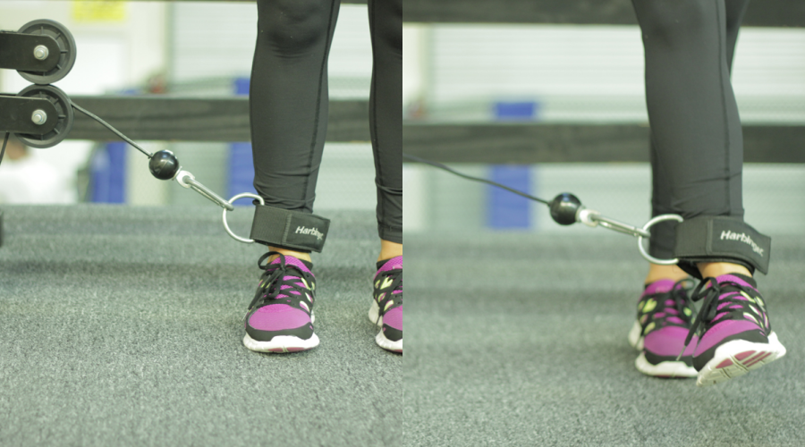 Cable Leg Adduction