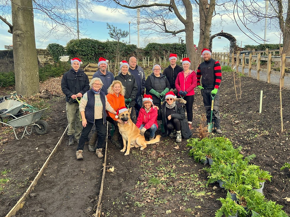 'Unsung Maghull Community Kindness by Saxon Tree Specialists.'                        - Frank Sharp.