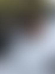 6 Paw-sitively Pet Friendly Cities Near Augusta, GA