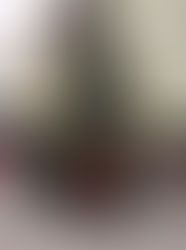 Christmas Markets in July