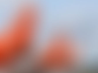easyJet announces new flights from Belfast City Airport to London Southend Airport