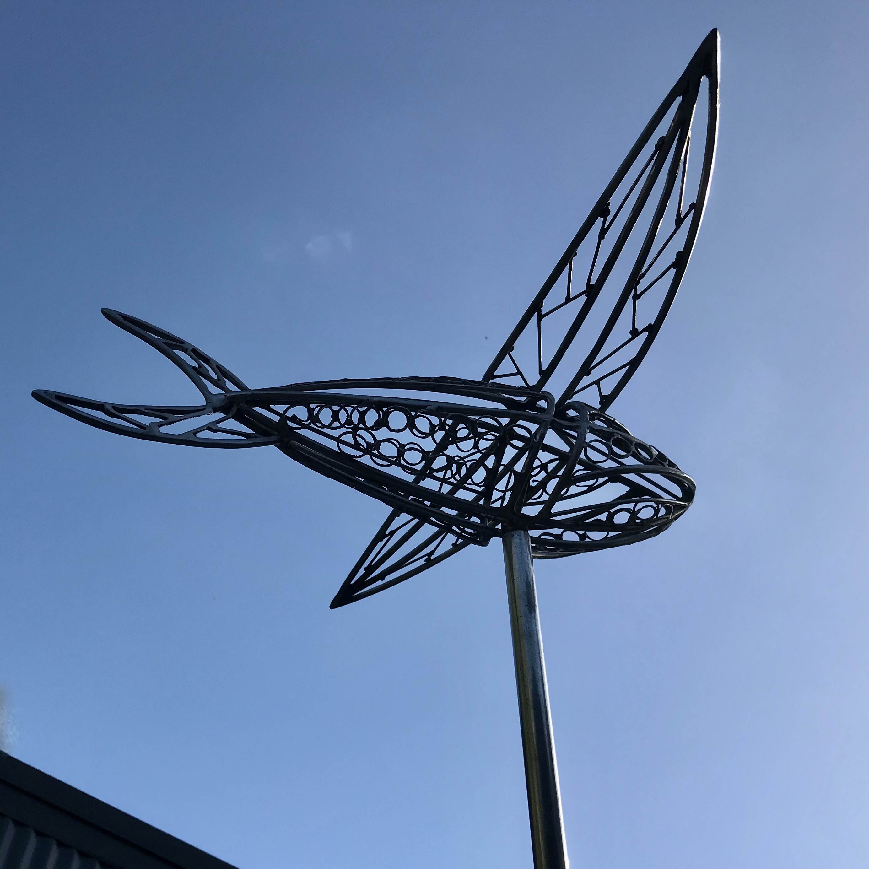 Flying Fish (maquette)