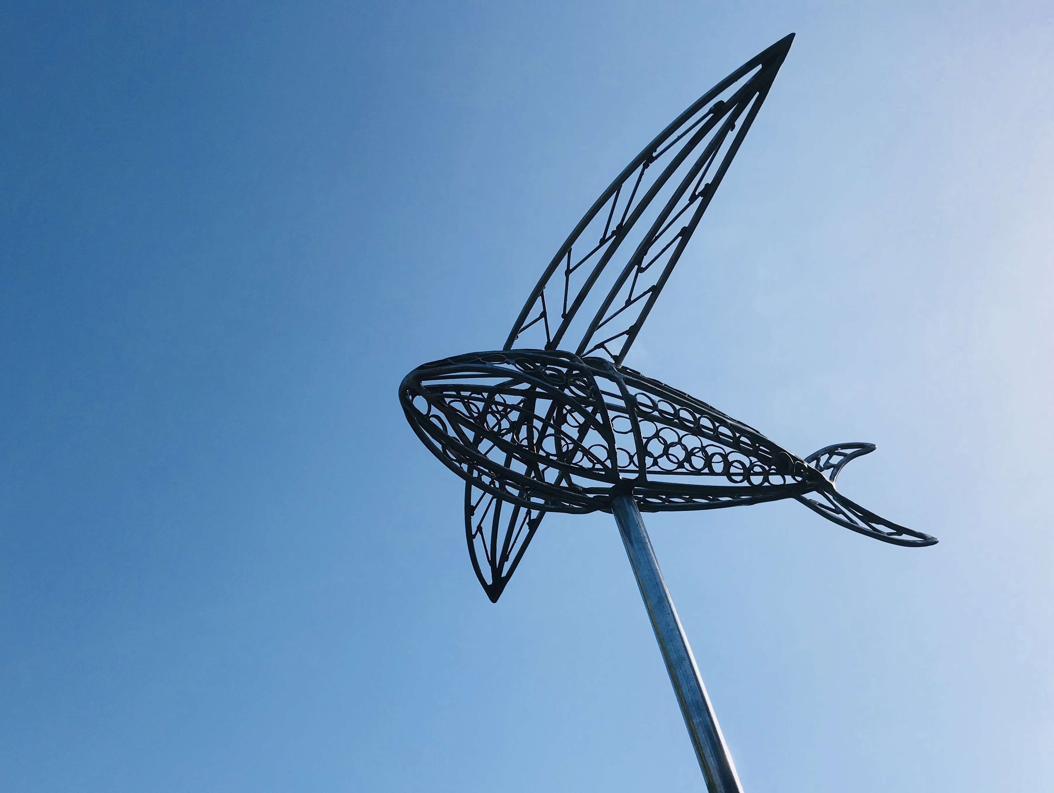 Flying Fish (maquette)