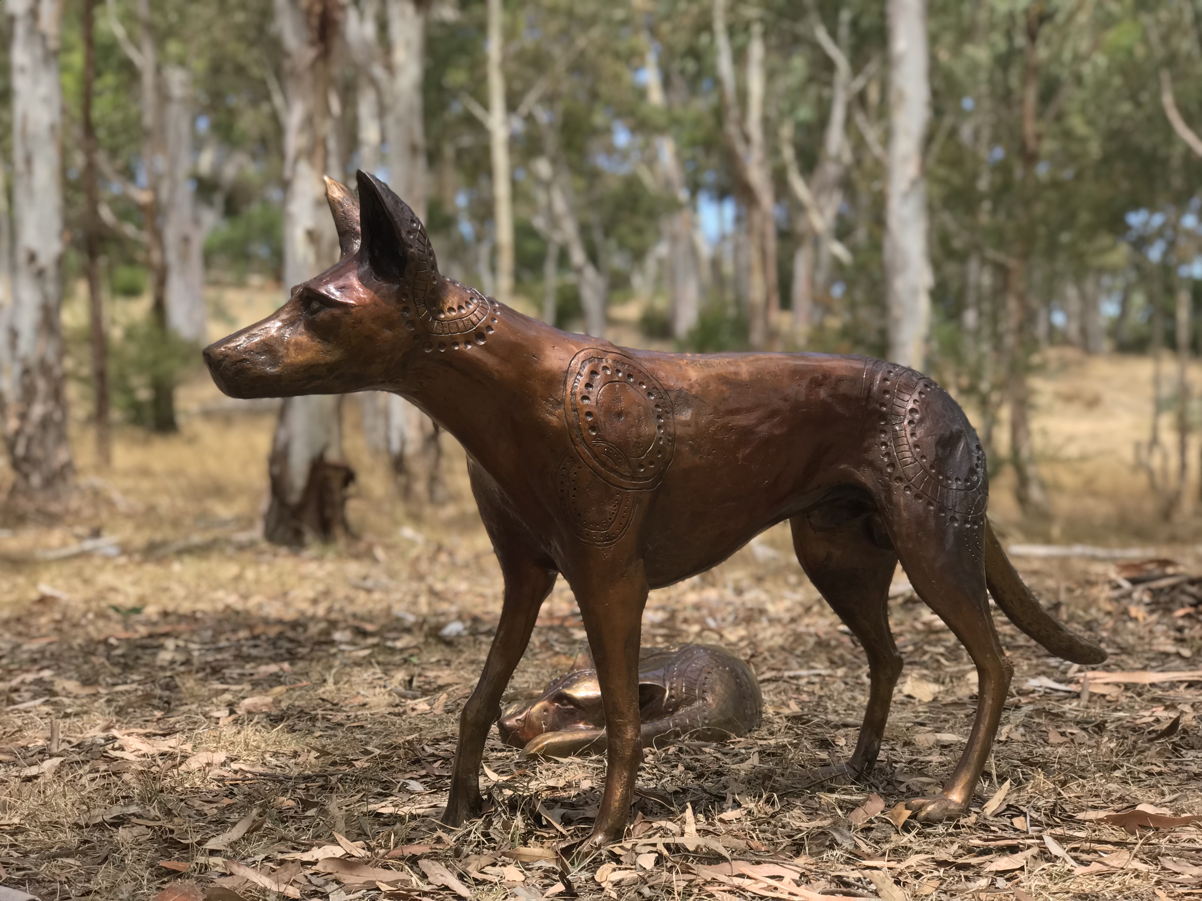 Papa Tjukurpa: Dingo Story