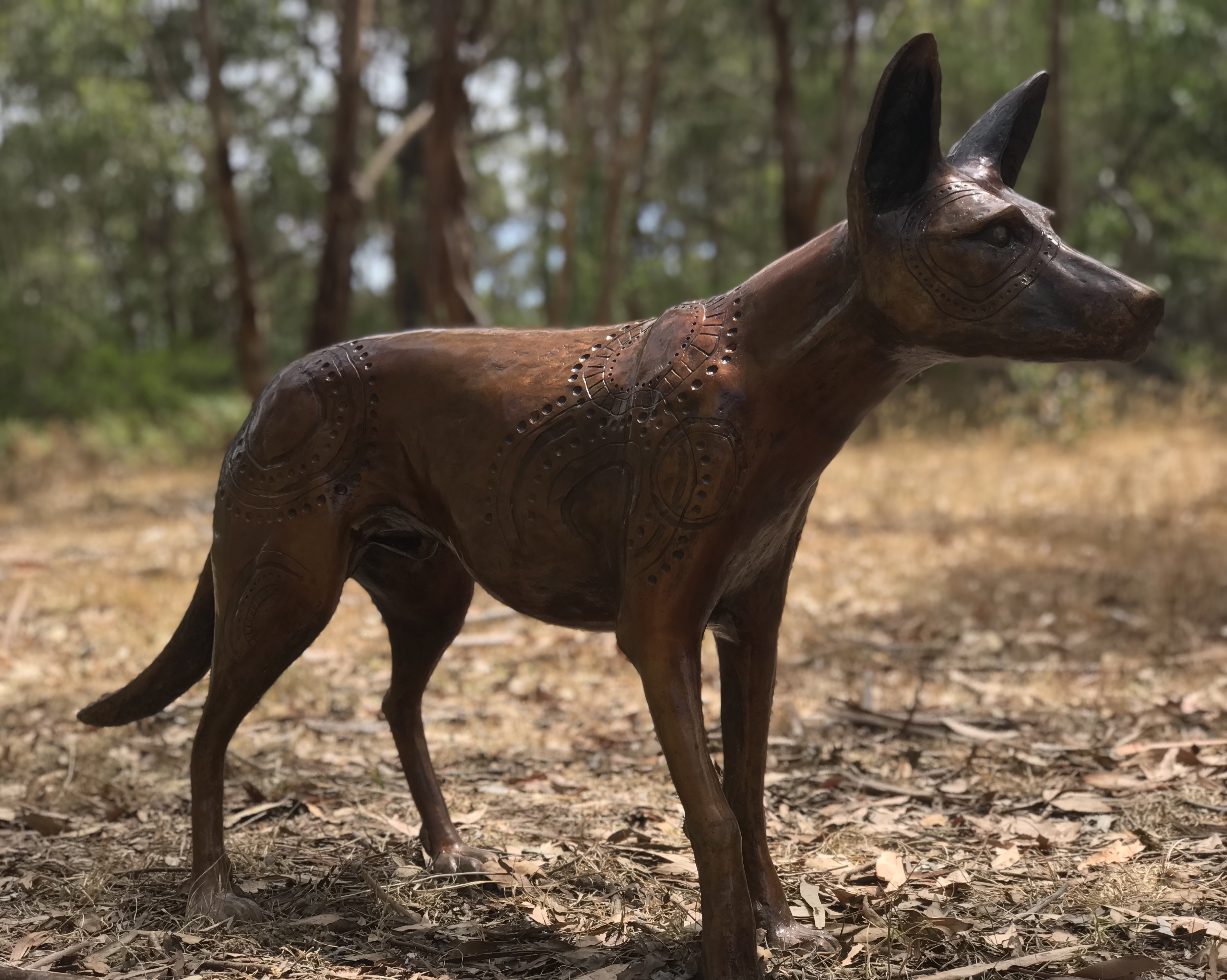 Papa Tjukurpa: Dingo Story