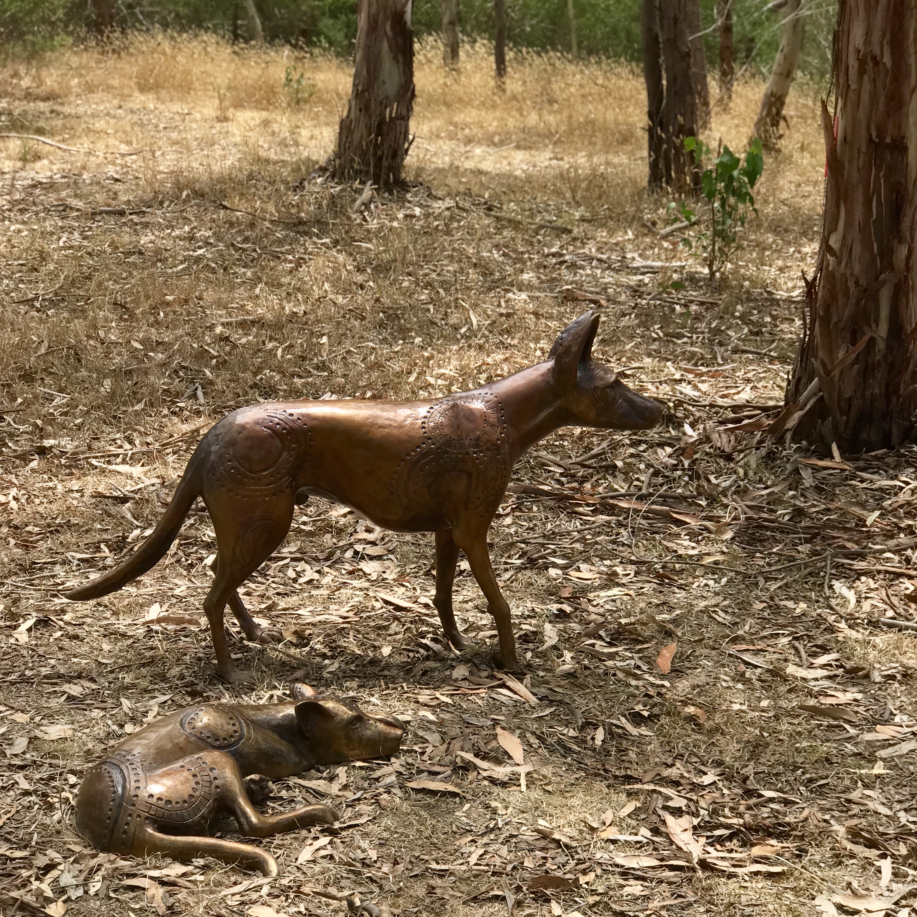 Papa Tjukurpa: Dingo Story