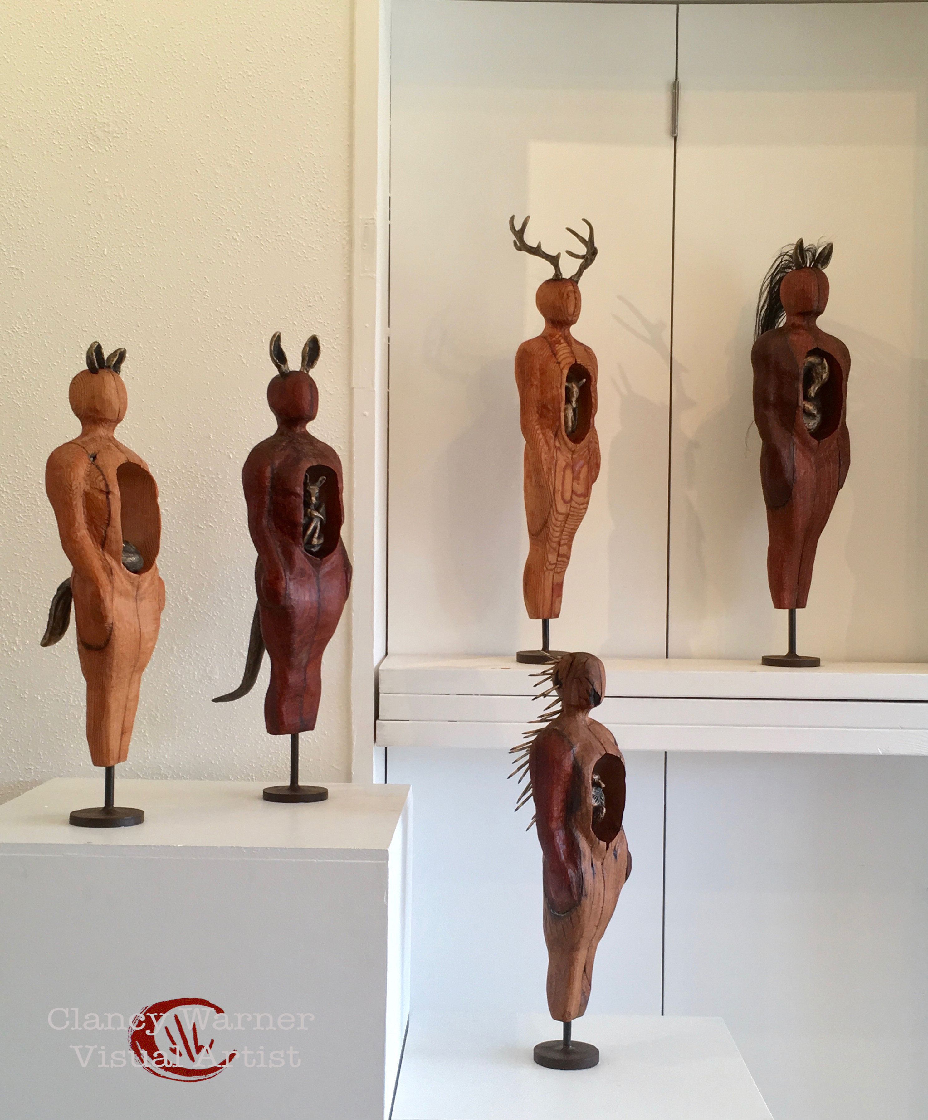 Animal Within Series