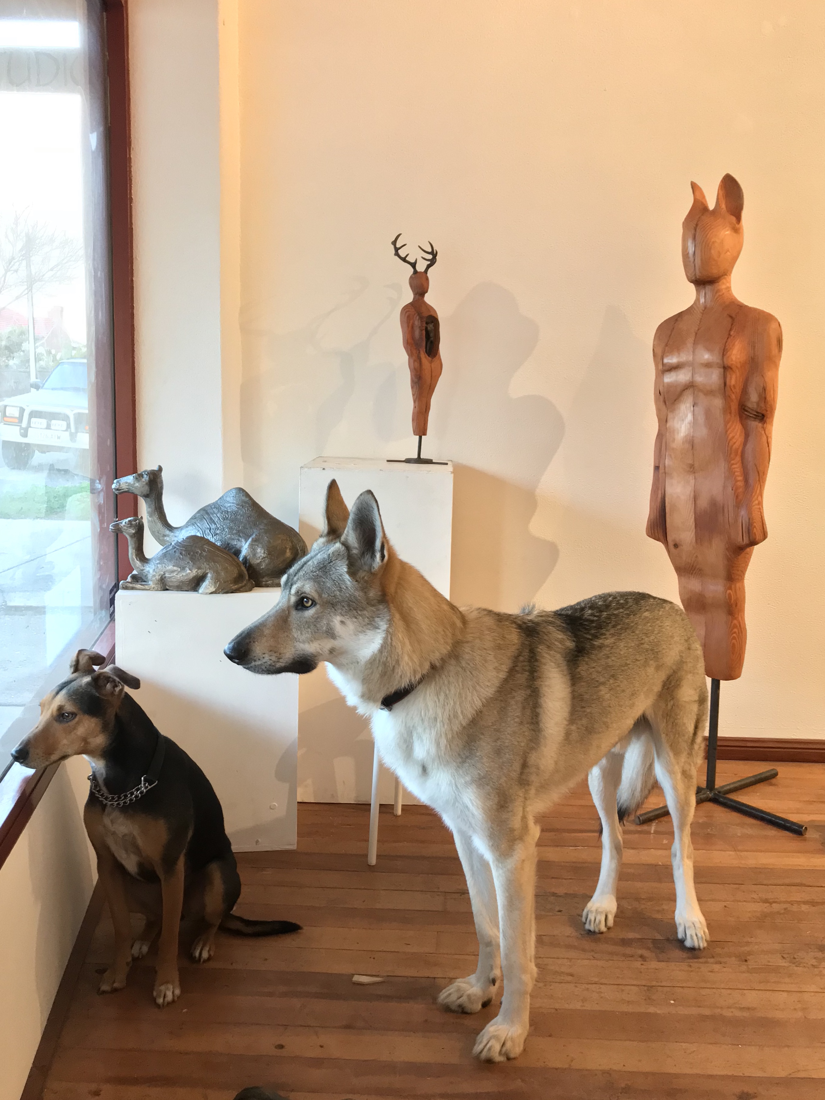 Dog Boi and friends