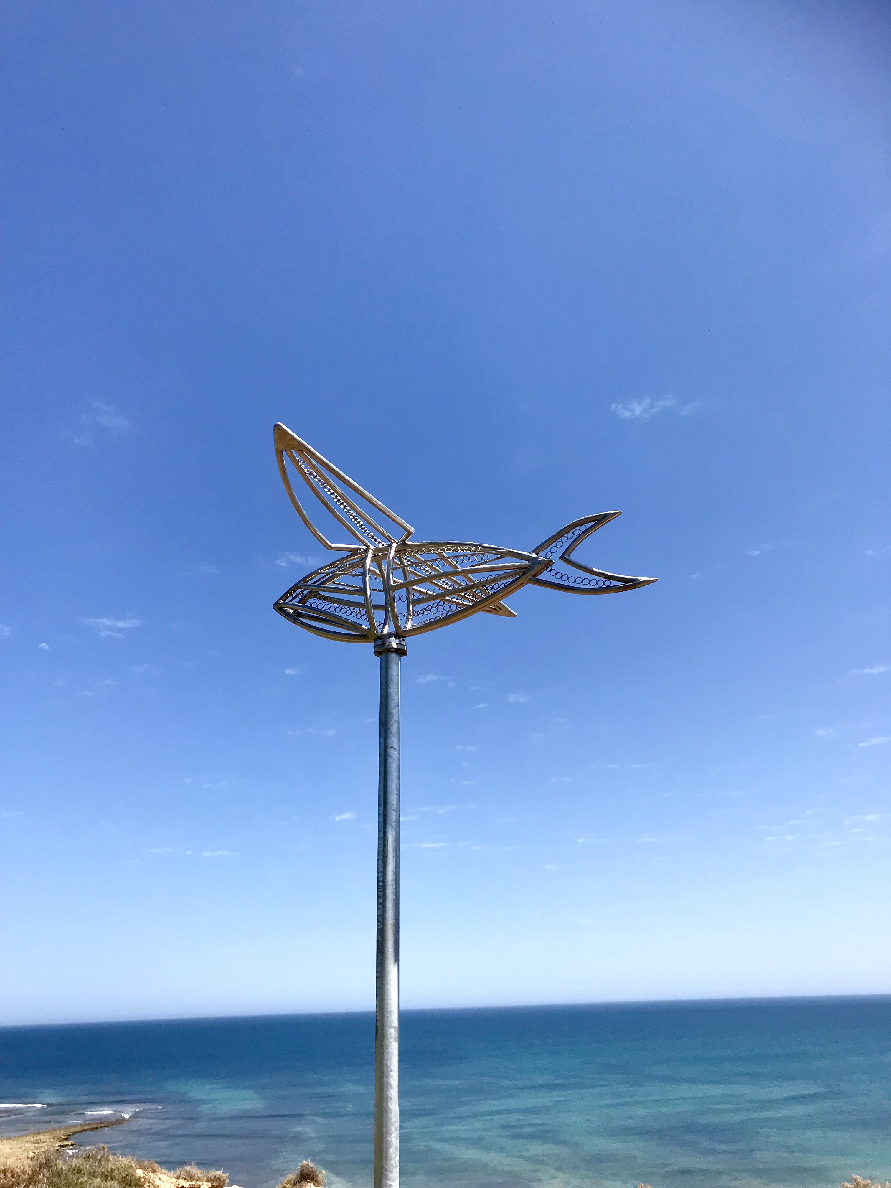 A Fish Out of Water