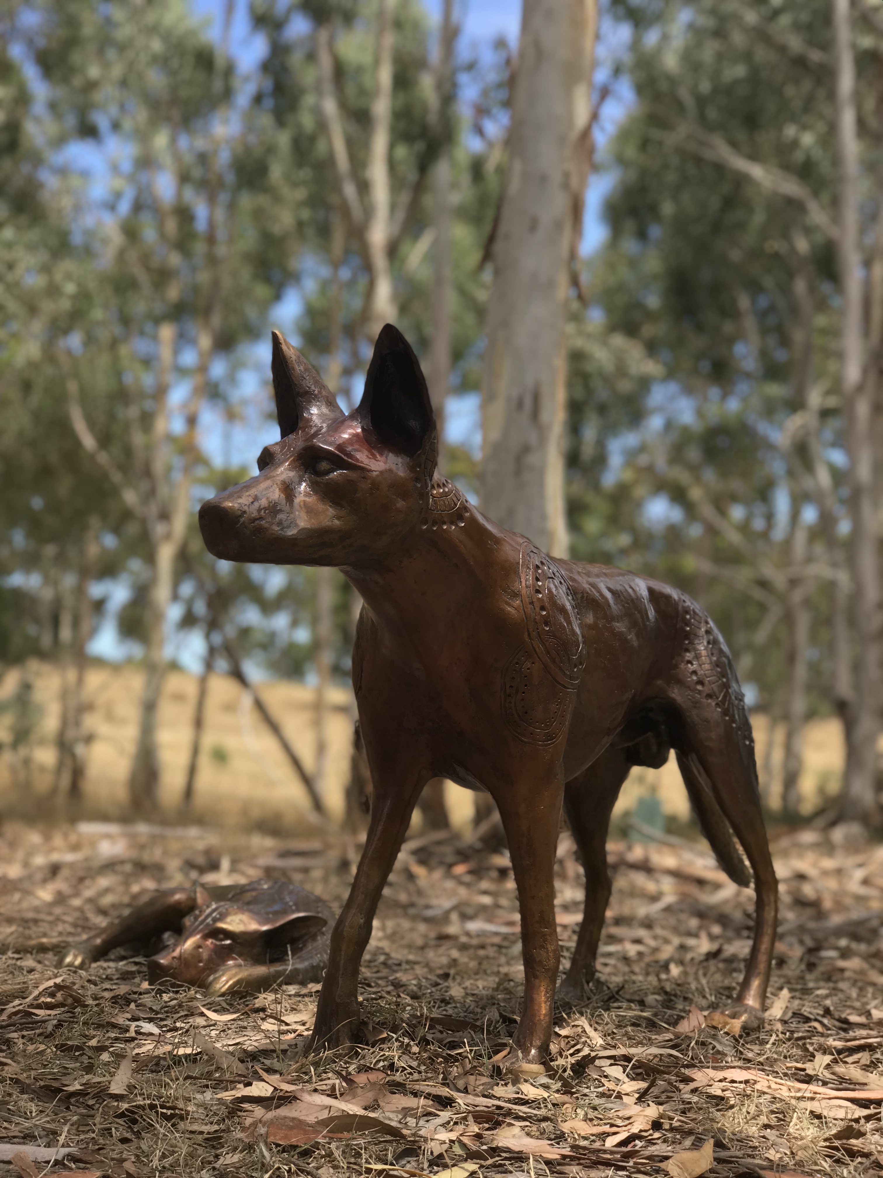 Papa Tjukurpa: Dingo Story