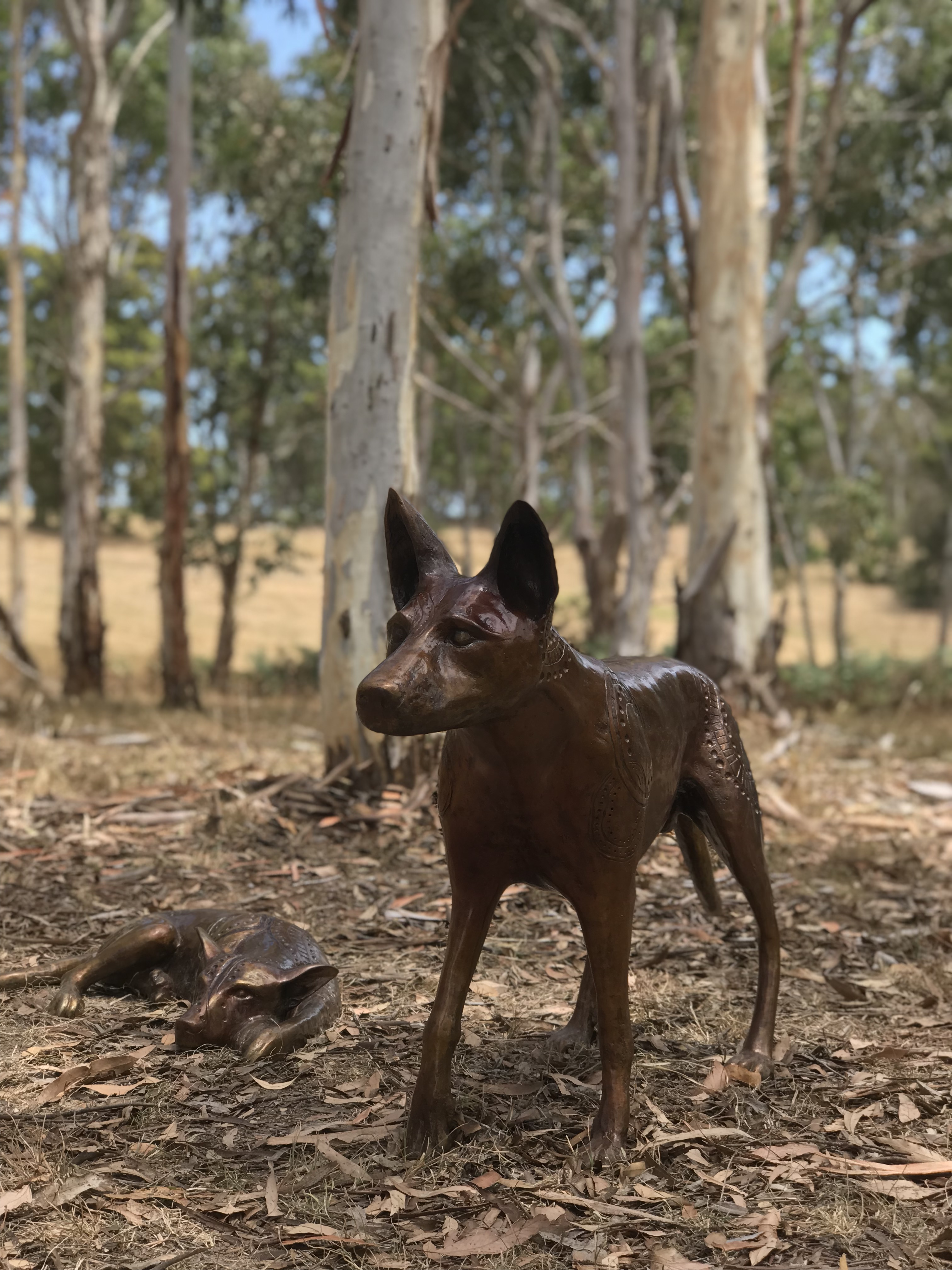Papa Tjukurpa: Dingo Story