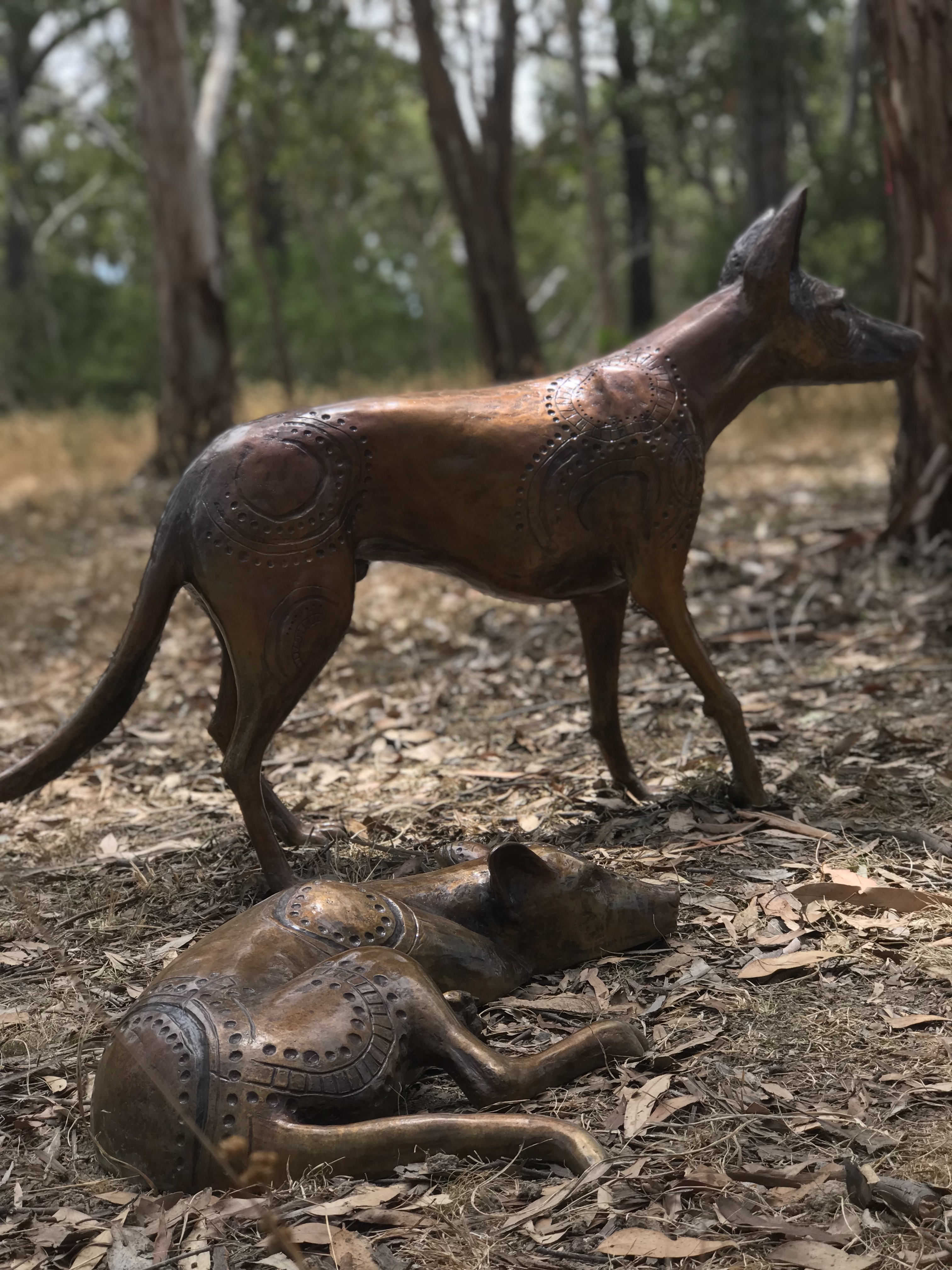 Papa Tjukurpa: Dingo Story