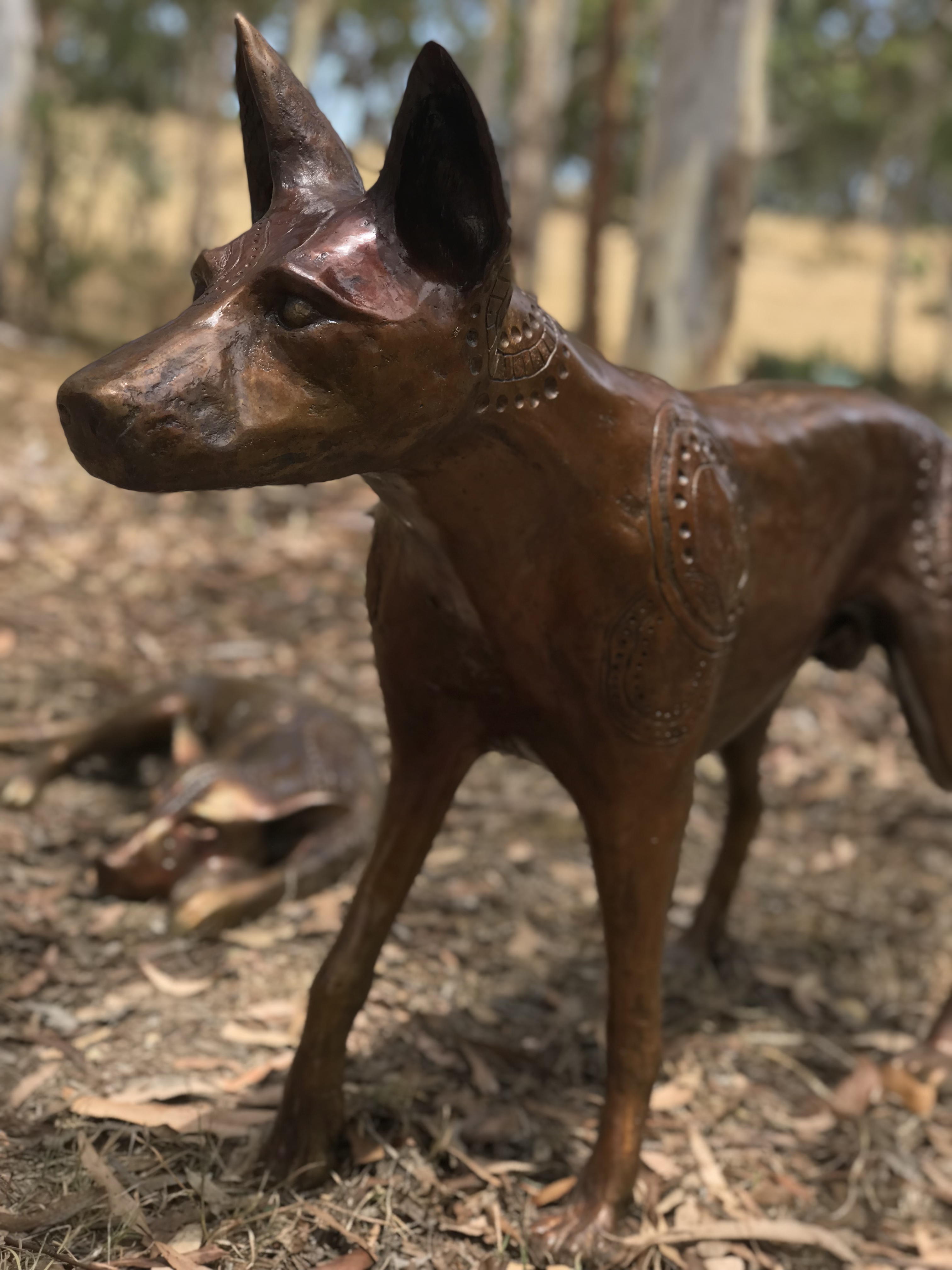 Papa Tjukurpa: Dingo Story