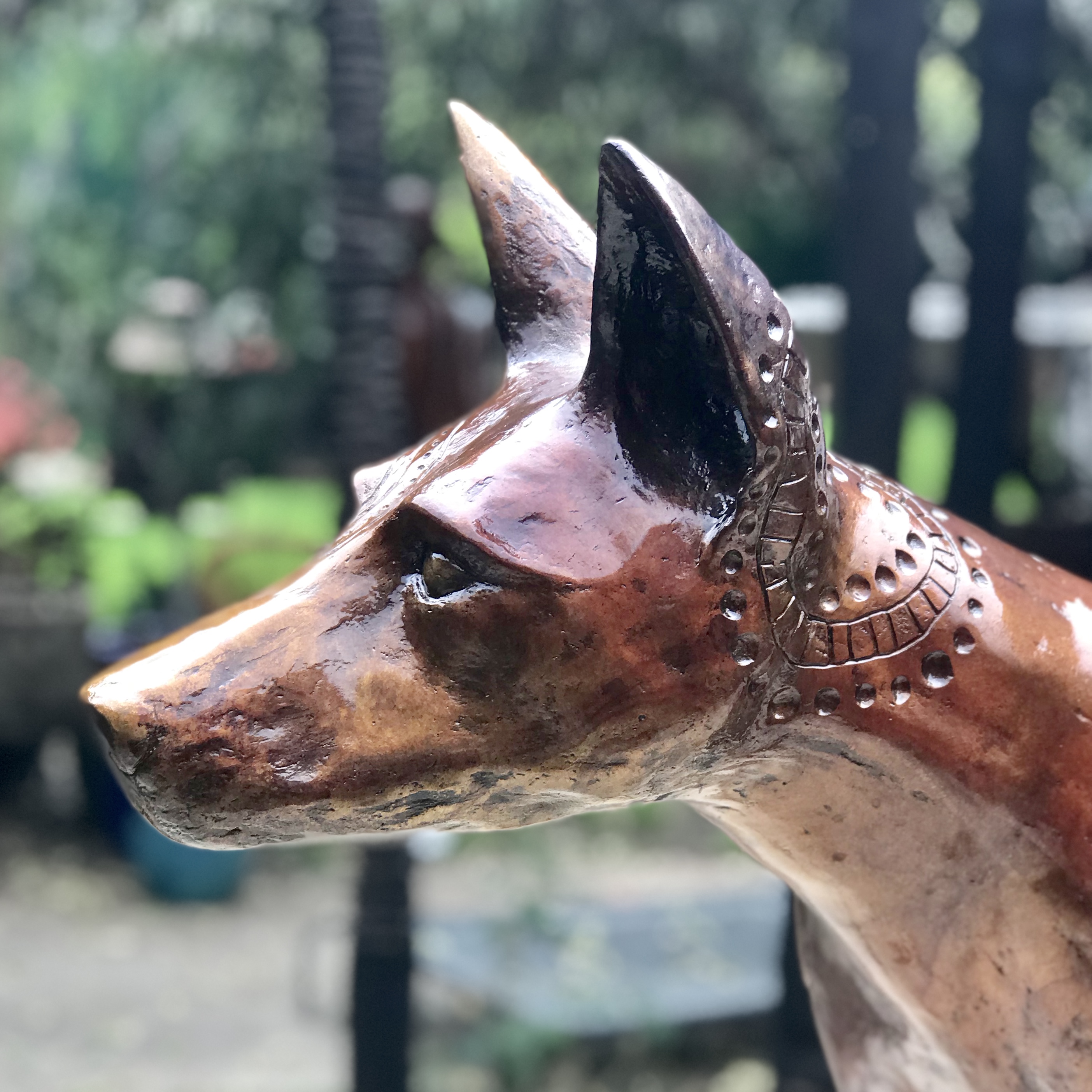 Papa Tjukurpa: Dingo Story