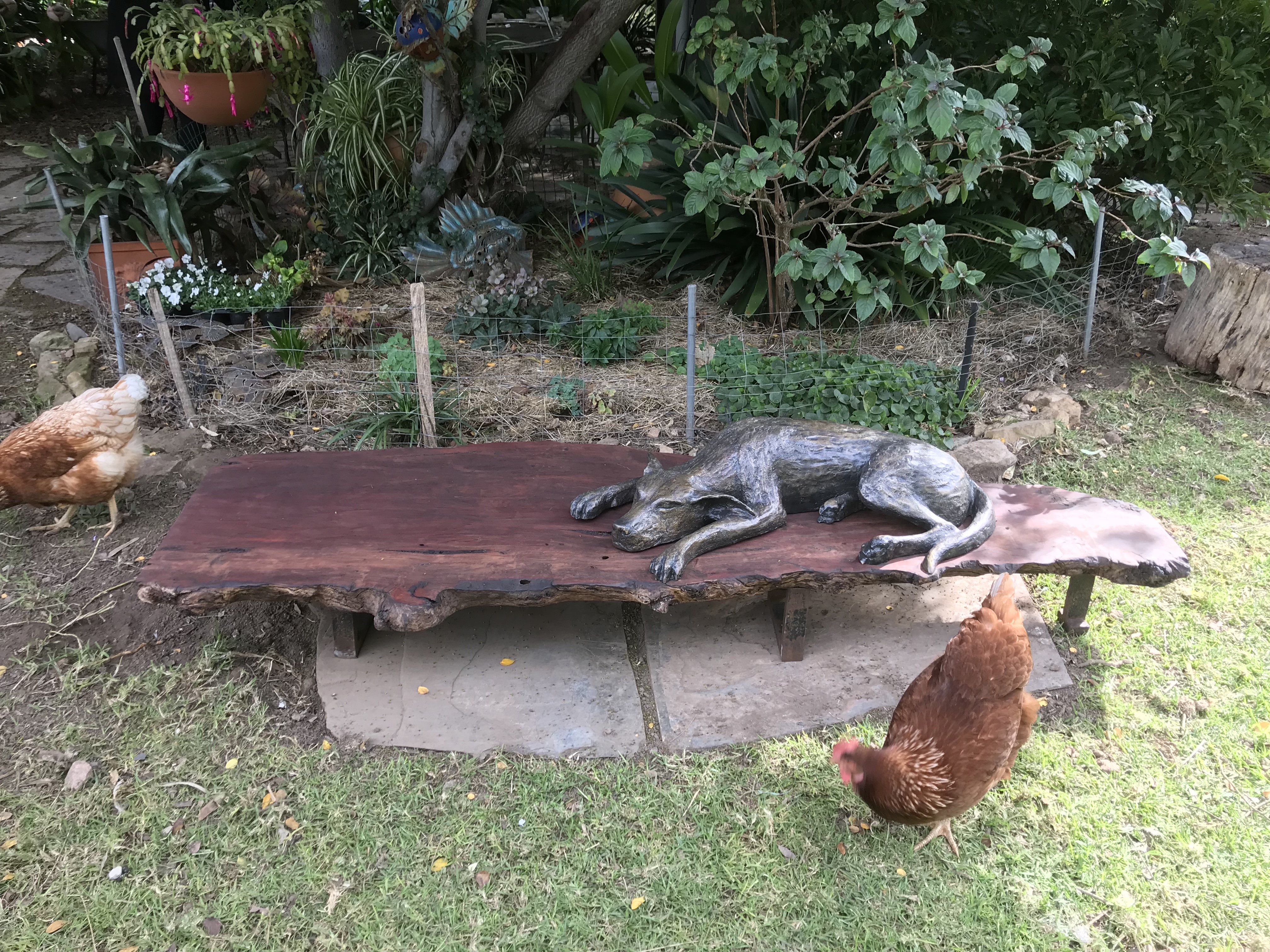 Let Sleeping Dogs Lie II and friend