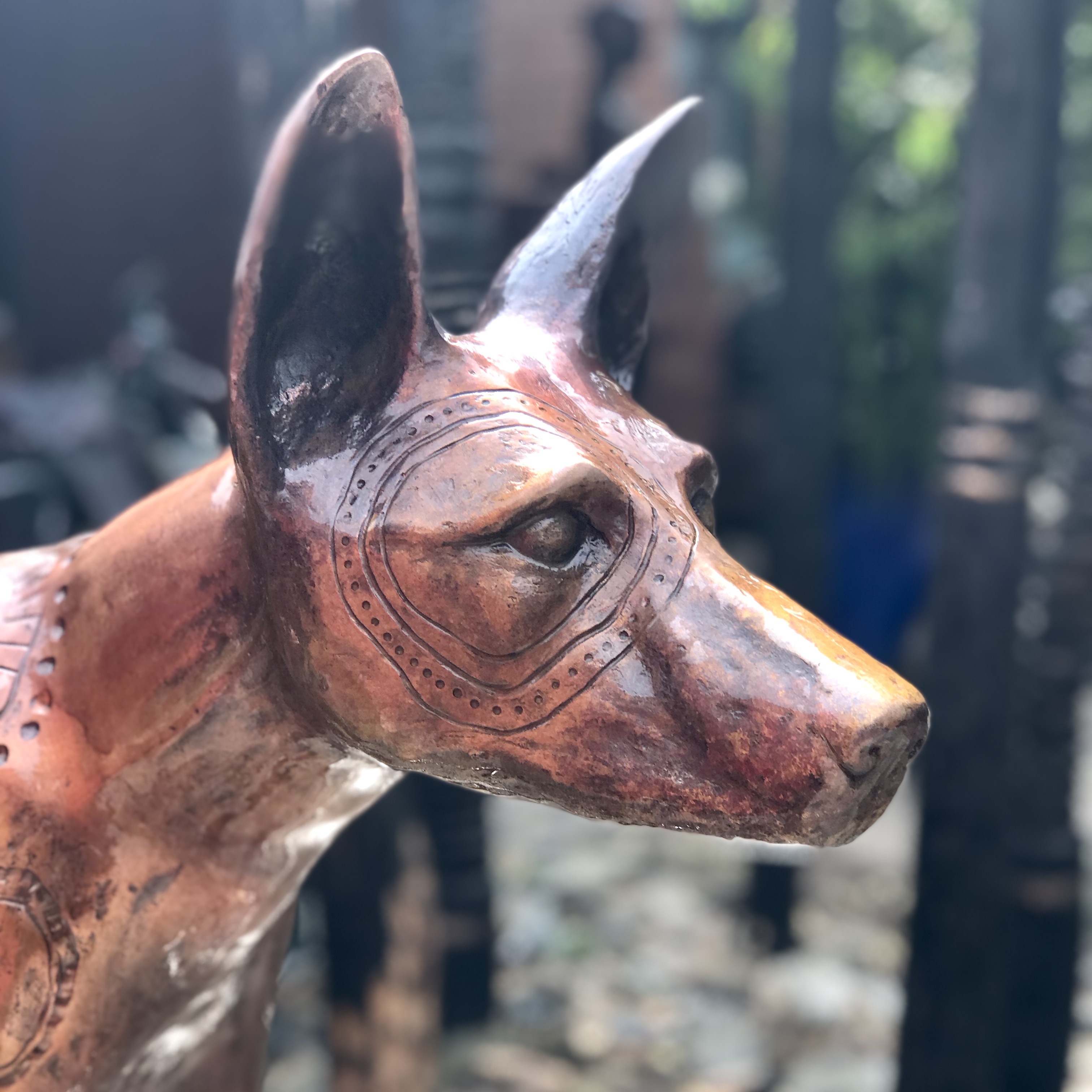Papa Tjukurpa: Dingo Story