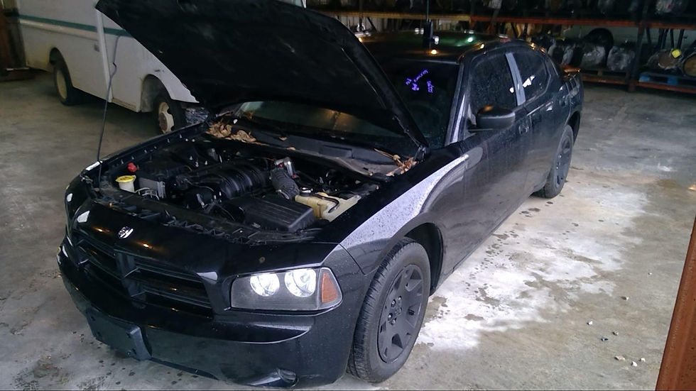 2007 Dodge Charger
