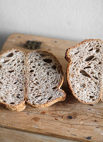 pane e radici