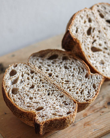 pane e radici