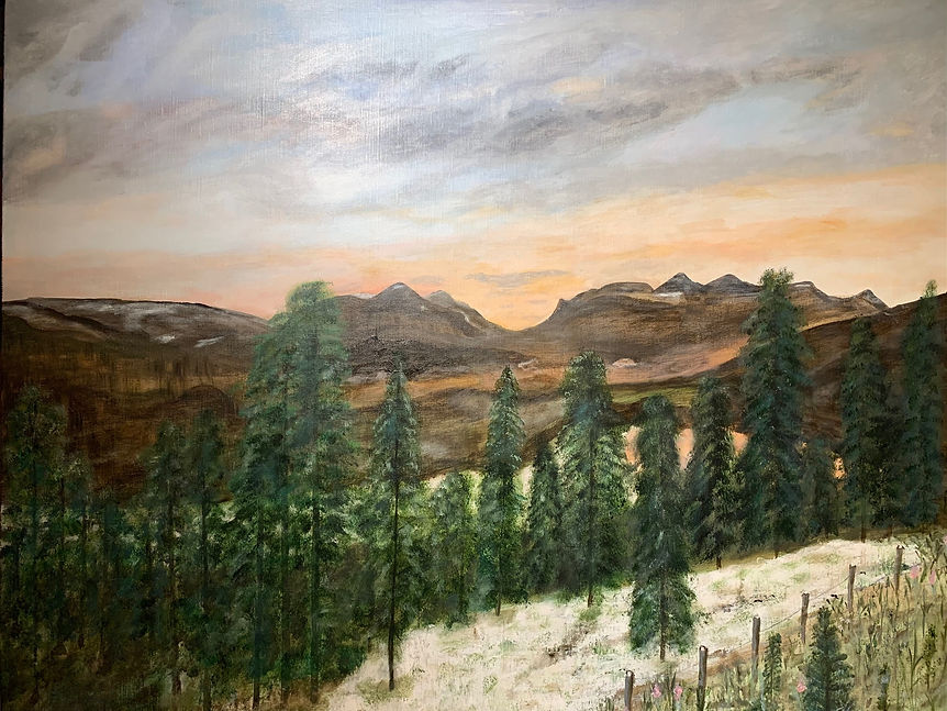 142 Drømmeland.jpg