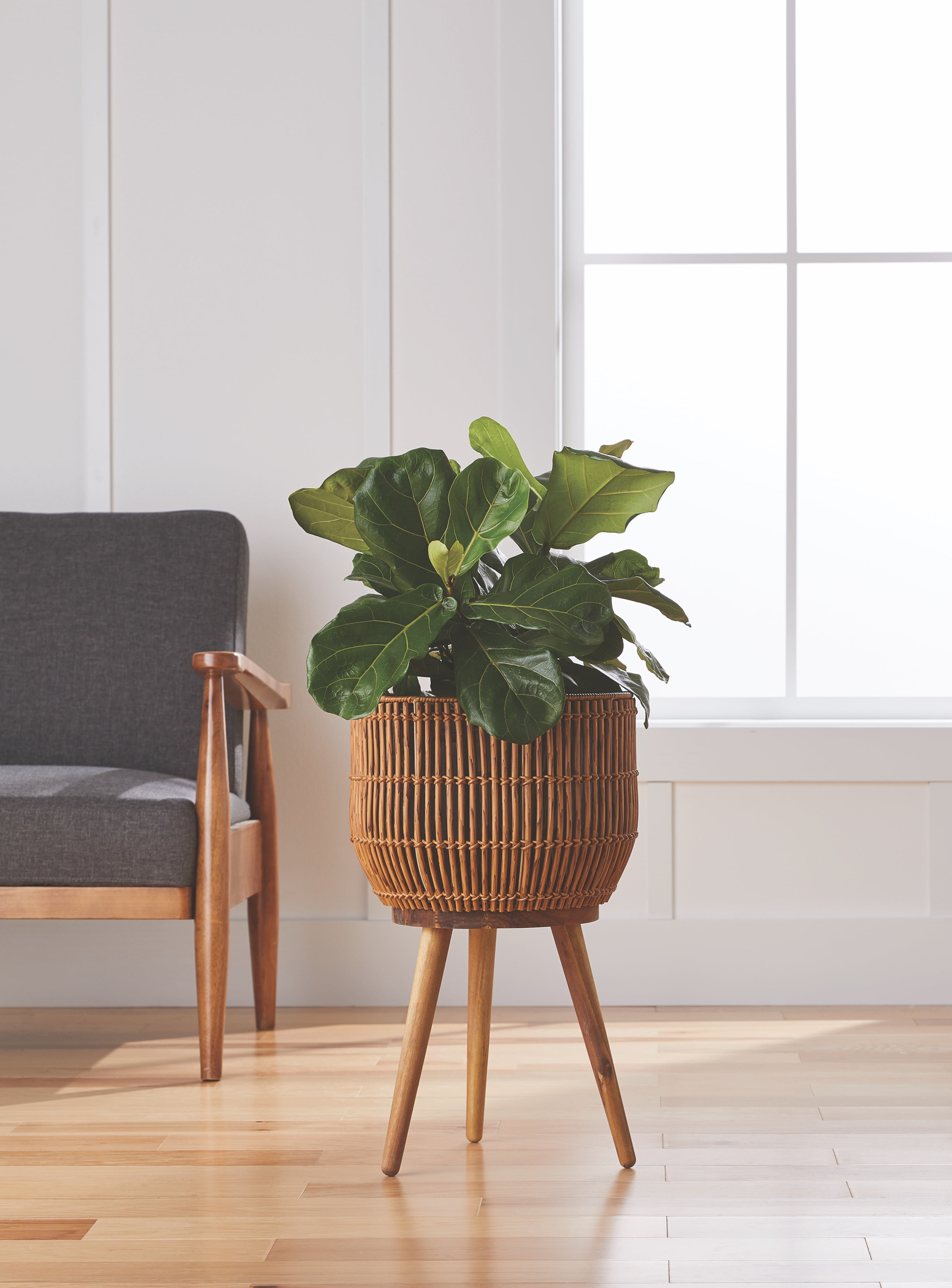 13" Rattan Planter & Stand, Acacia Wood Legs