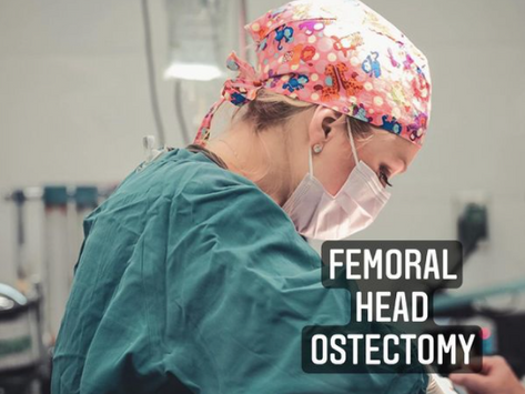FEMORAL HEAD OSTECTOMY (FHO)