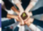 20190805155535_Services-1-800x578-copy-1 (1).webp