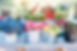 KYP[KatieFordFinal]-3-wr.jpg