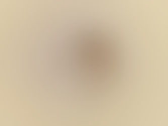 The oldest known bat skeletons