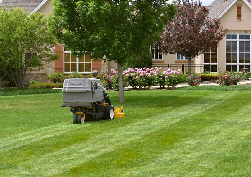Lawn with walker.jpg
