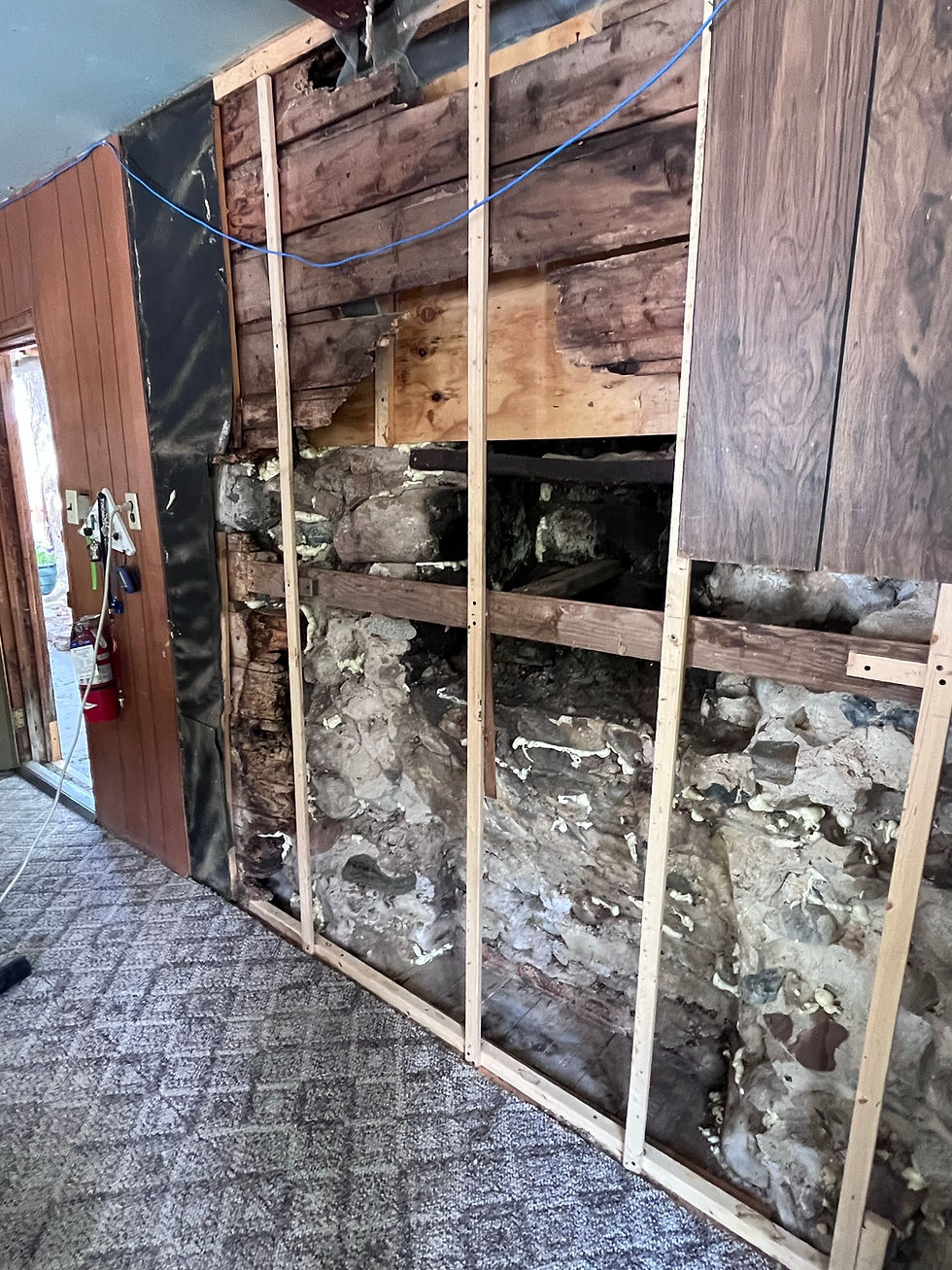 inside cabin 1