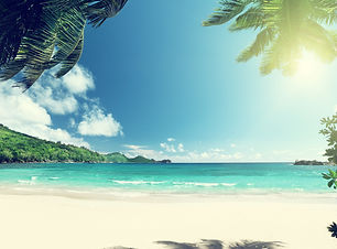 trifold background.jpeg