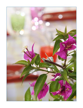 Détail-02.jpg