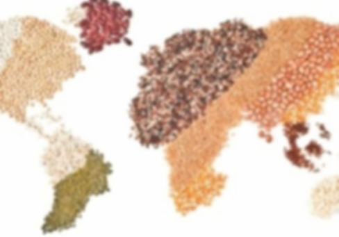 Coomodity Image_edited_edited_edited_edited_edited_edited_edited_edited.jpg