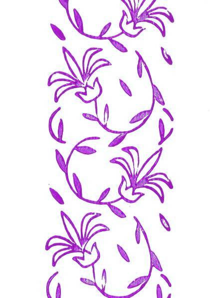 75 Podbízivé chrpy detail