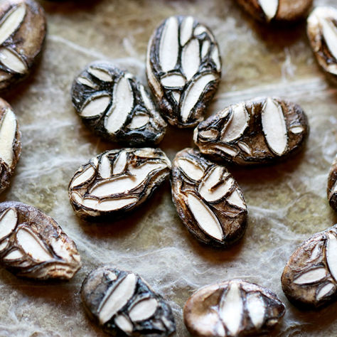 Seed Saving and Native American Icons